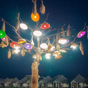 rann resort